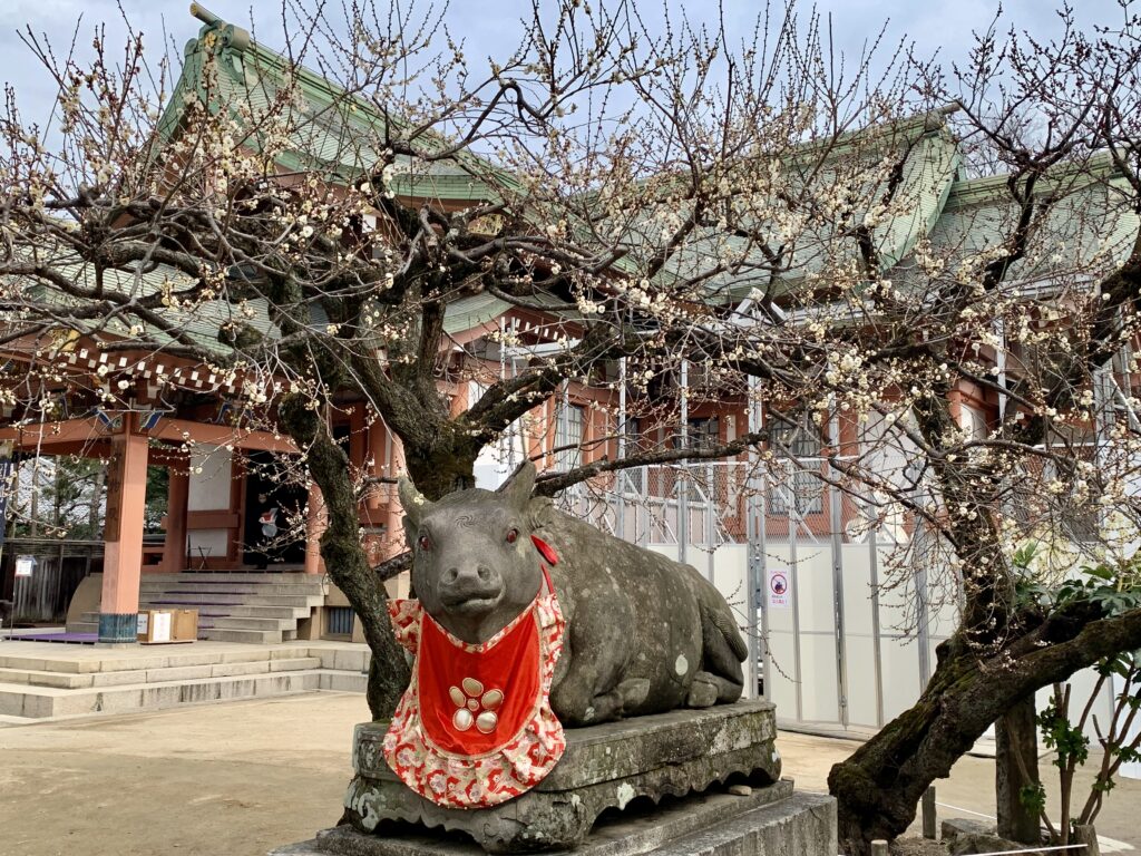 北野天満宮、梅花