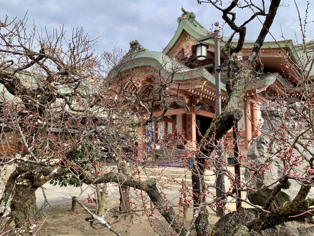 北野天満宮、梅花